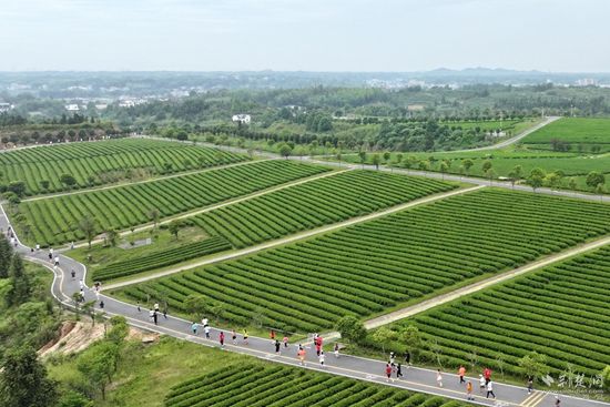 微信图片_20250518005723.jpg.jpg