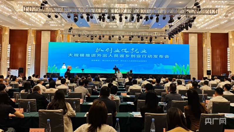 领先的“鹅”返回巢穴建造Jingchu，五个主要的湖
