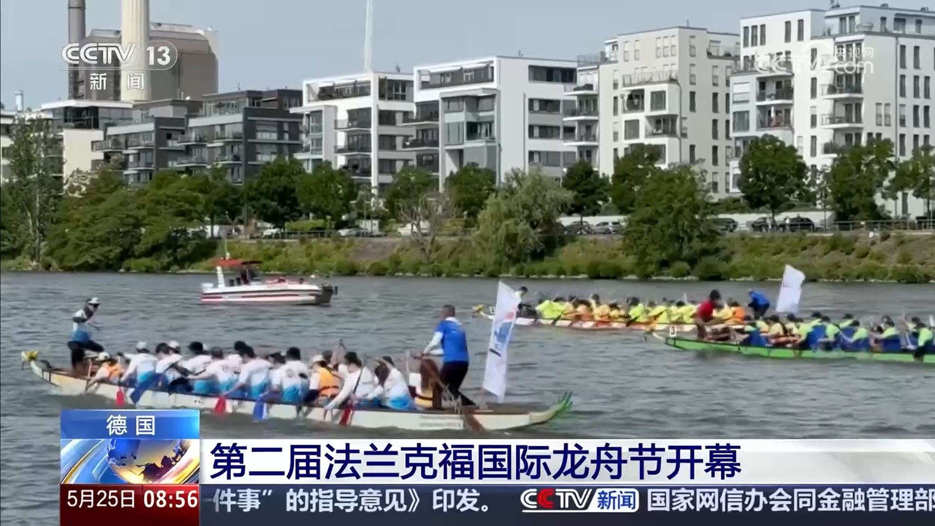 中华传统文化走向海外 多国举行赛龙舟活动(图1)