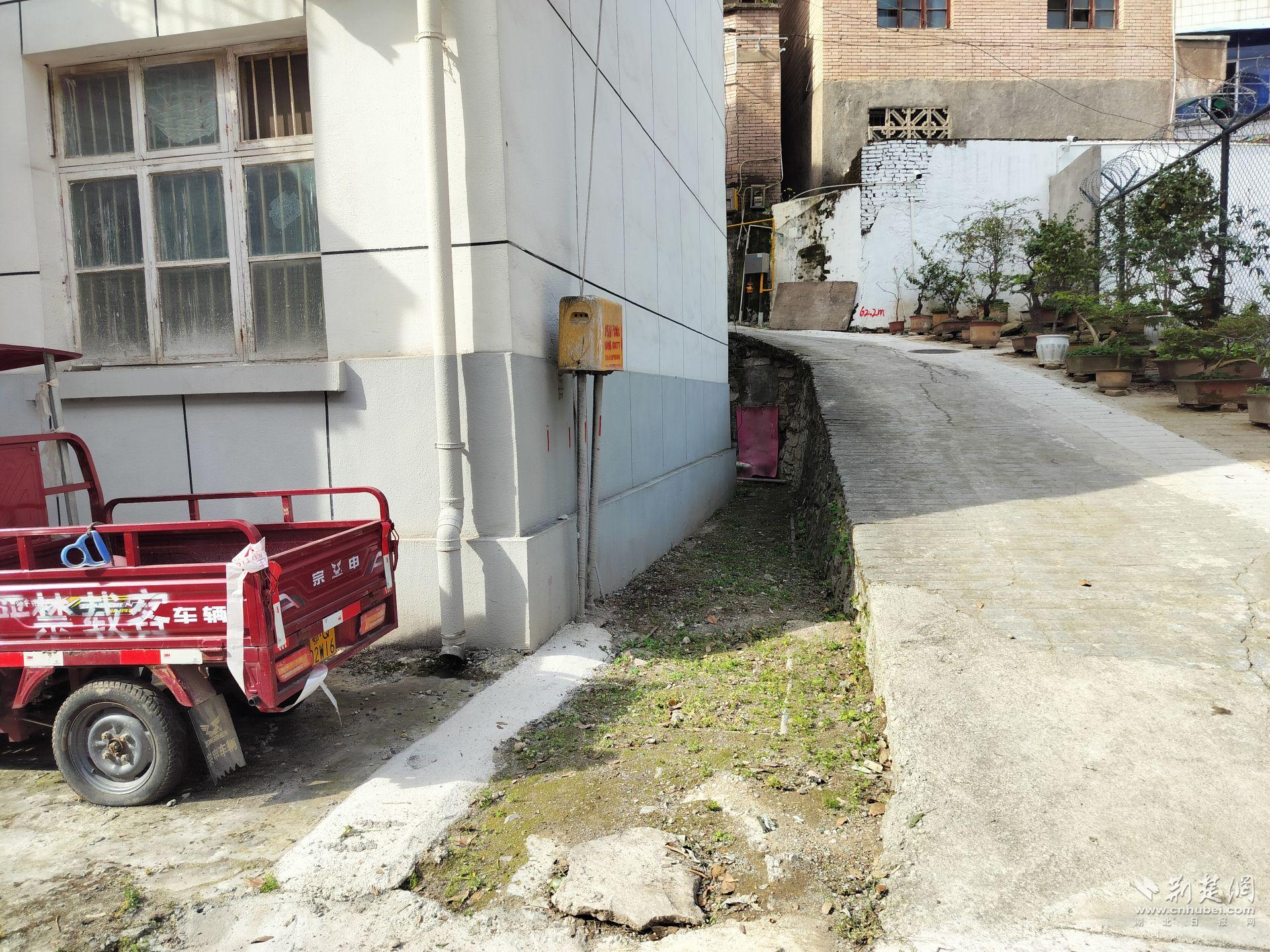 杂草清理后.jpg.jpg