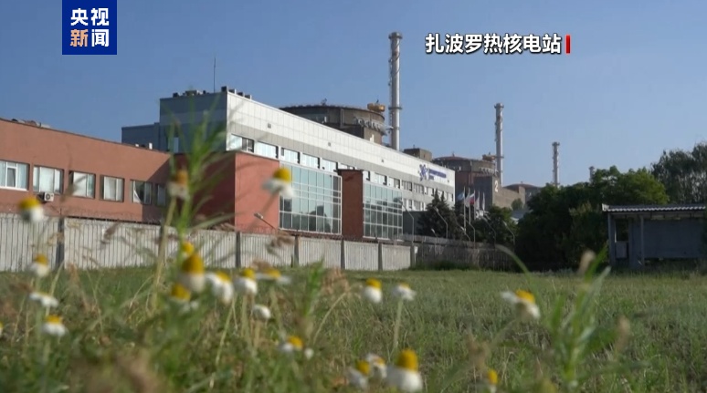 国际原子能局总干事：Zaporo热电厂目前尚未重新