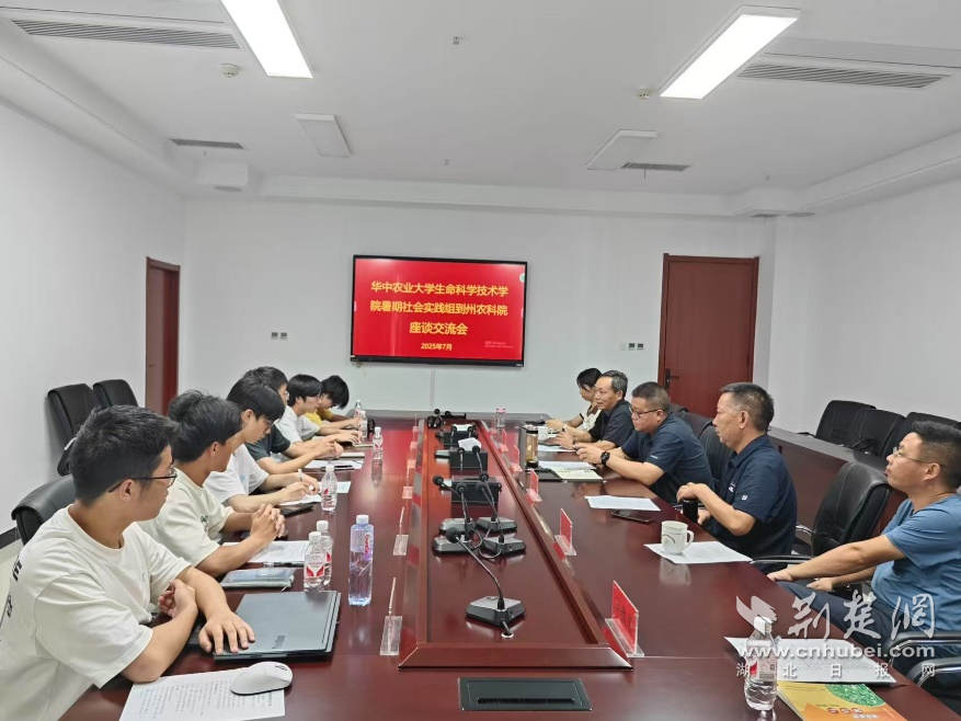 图片4.png.png