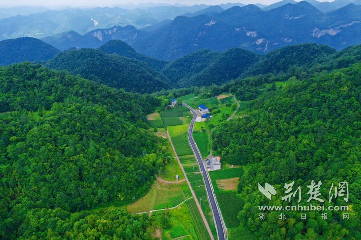 高山蔬果百草园全景1.png.png