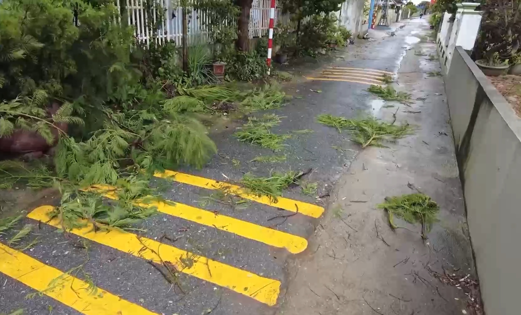 台风魏帕杀死了3人，在越南受伤8人