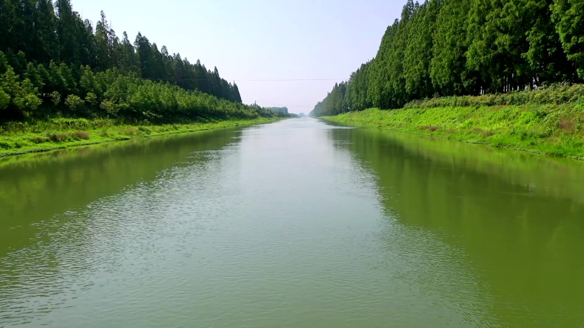 水生态修复与管理（建议）.jpg.jpg