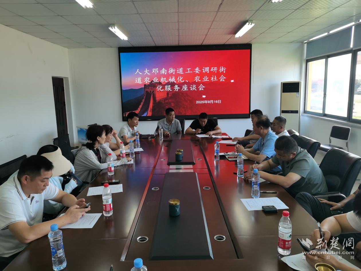 图片4.png.png