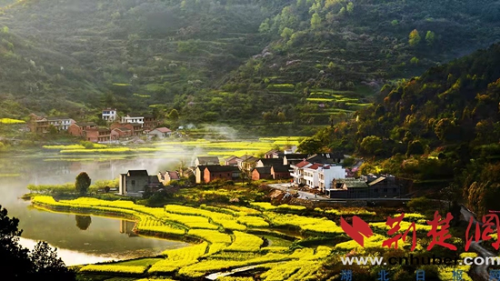 13沼山古村桃乡景区油菜花.jpg