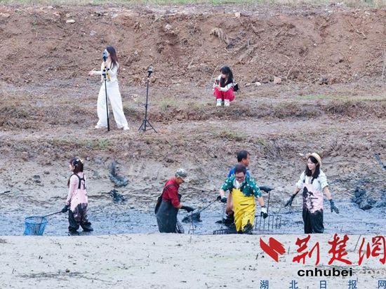 图片5.jpg.jpg