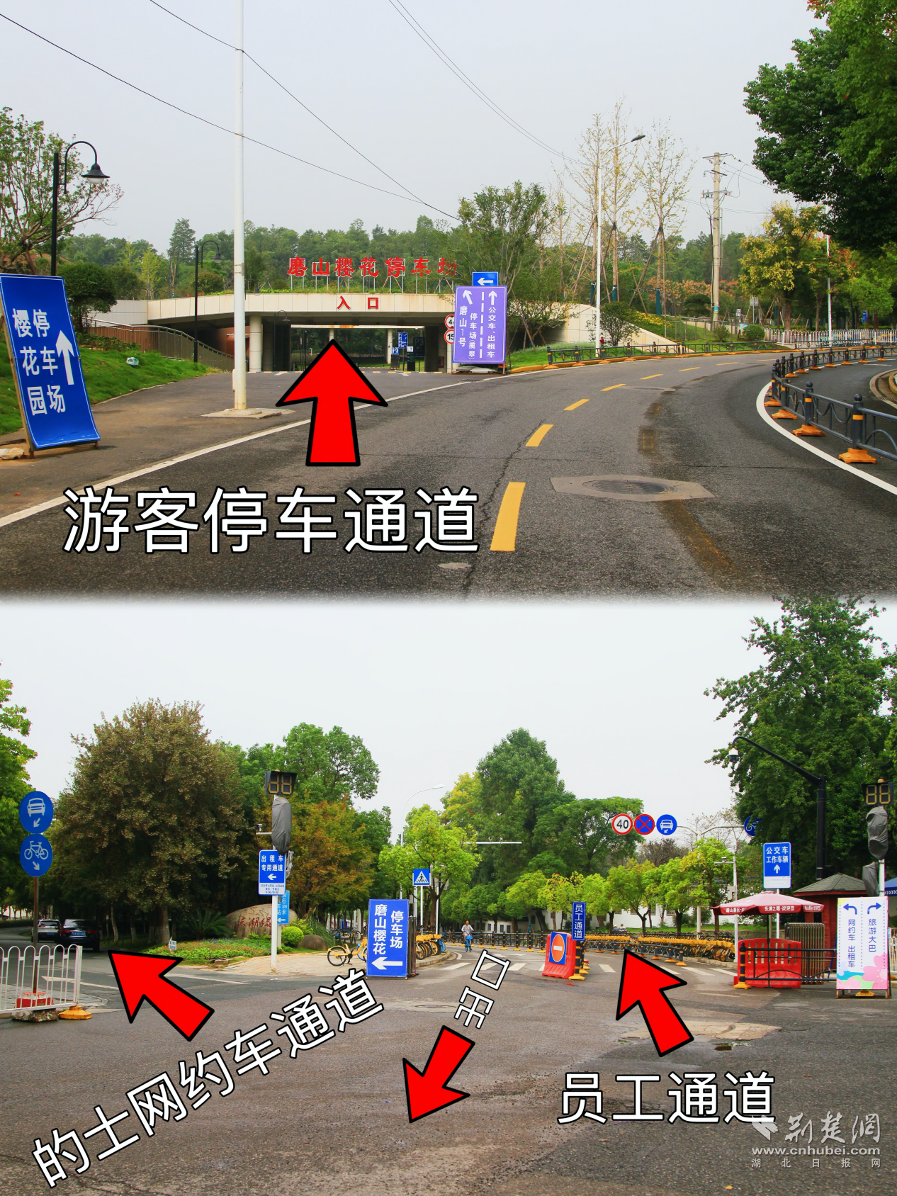 图片13.png.png