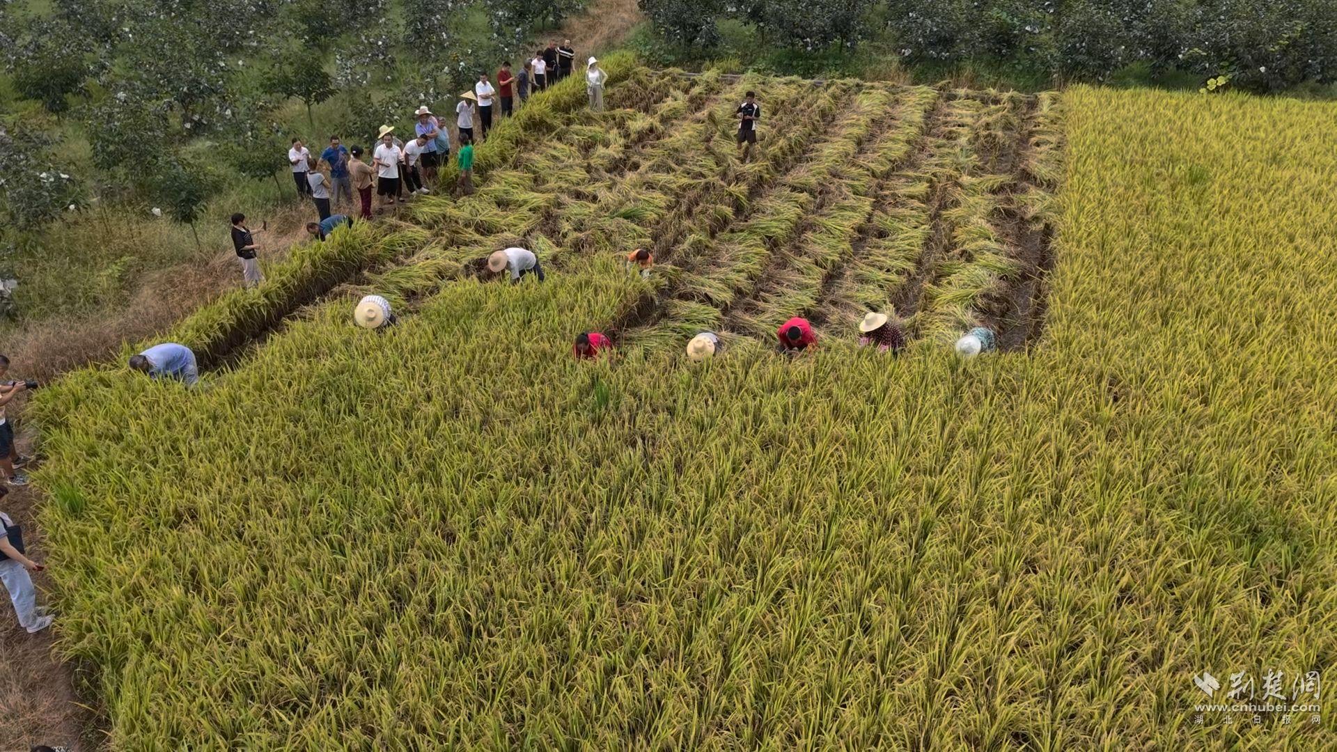 乡村风光很美，江西·桑利工会（Jianshi Sanli）工