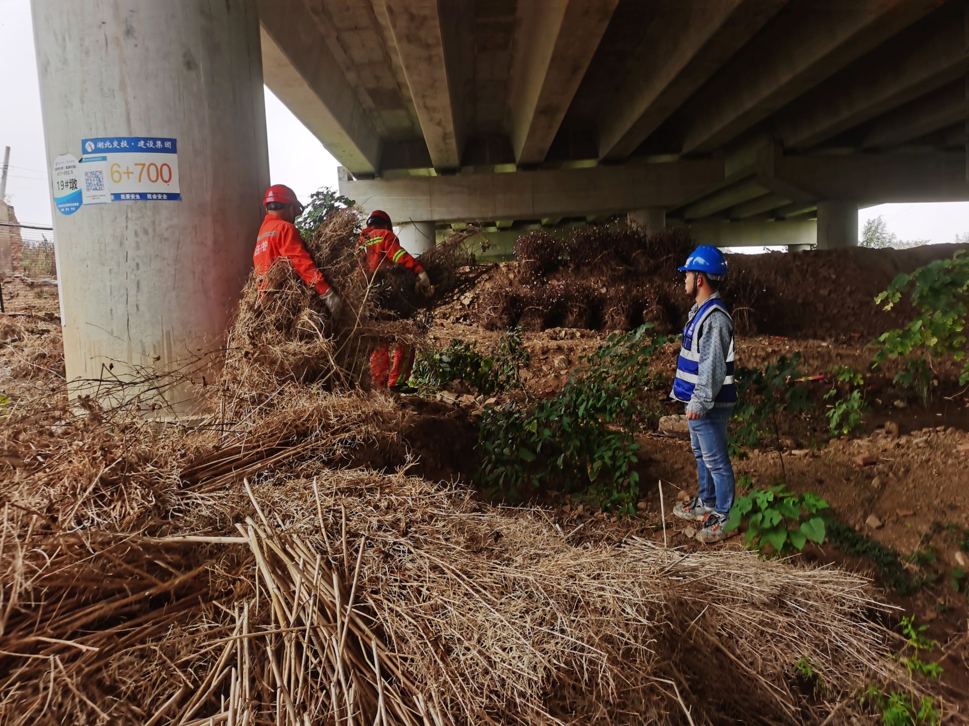 京珠运营公司：灵活拆除违反安全标准桥下空间