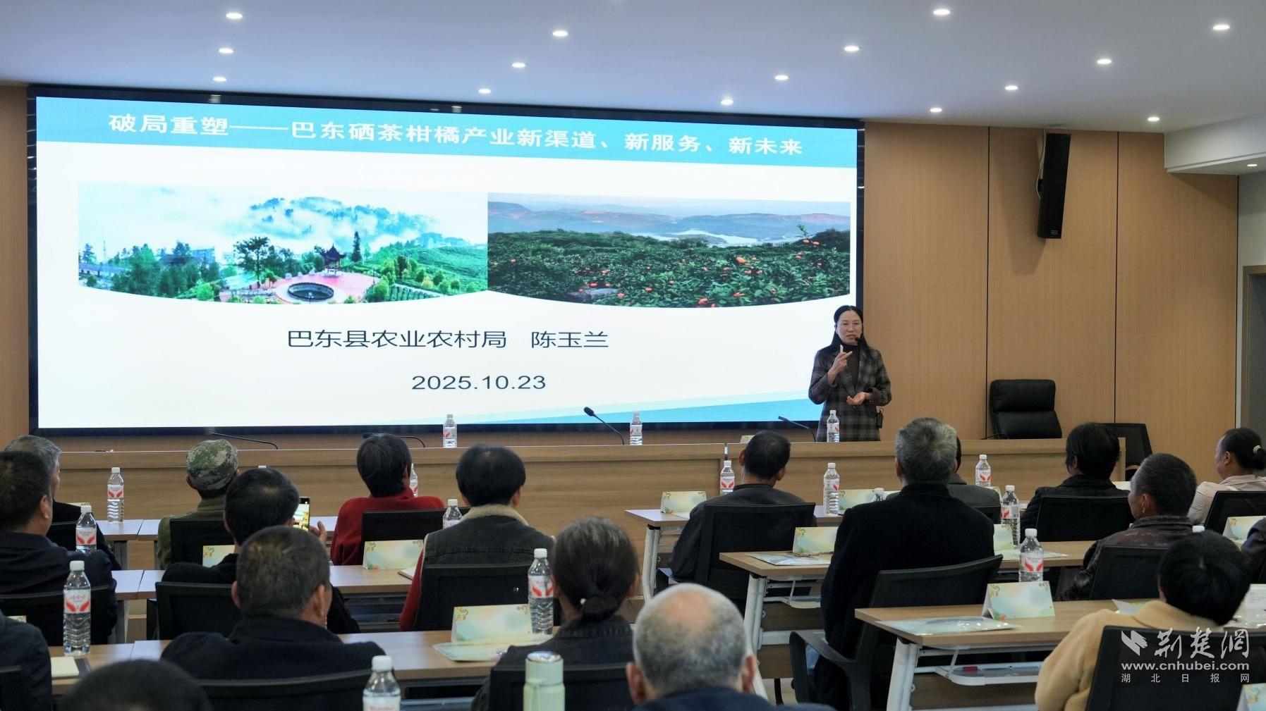 b877f669c235ed7b69d90f2300385755_1795X1009_20251025215823