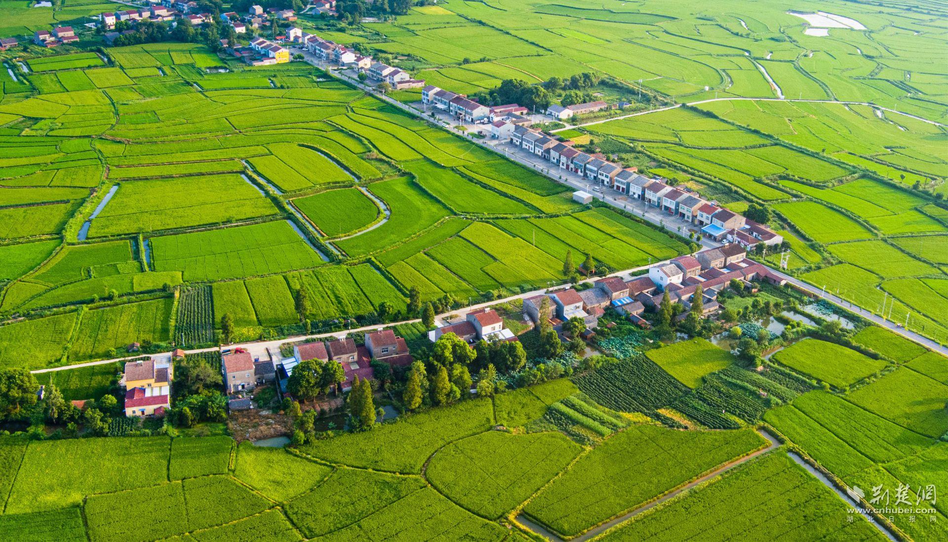 生态村（积玉口镇古城村）.jpg.jpg