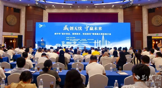 大湾区.jpg