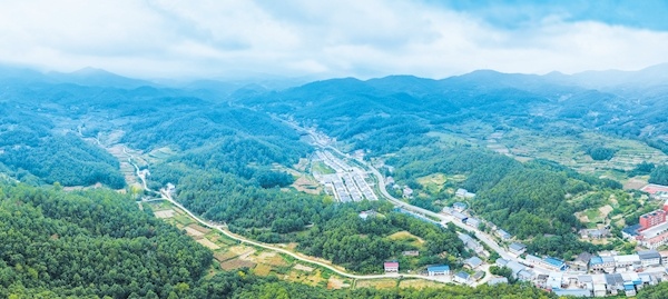 青山绿水促群众发展——盐阳区深入推进改变“