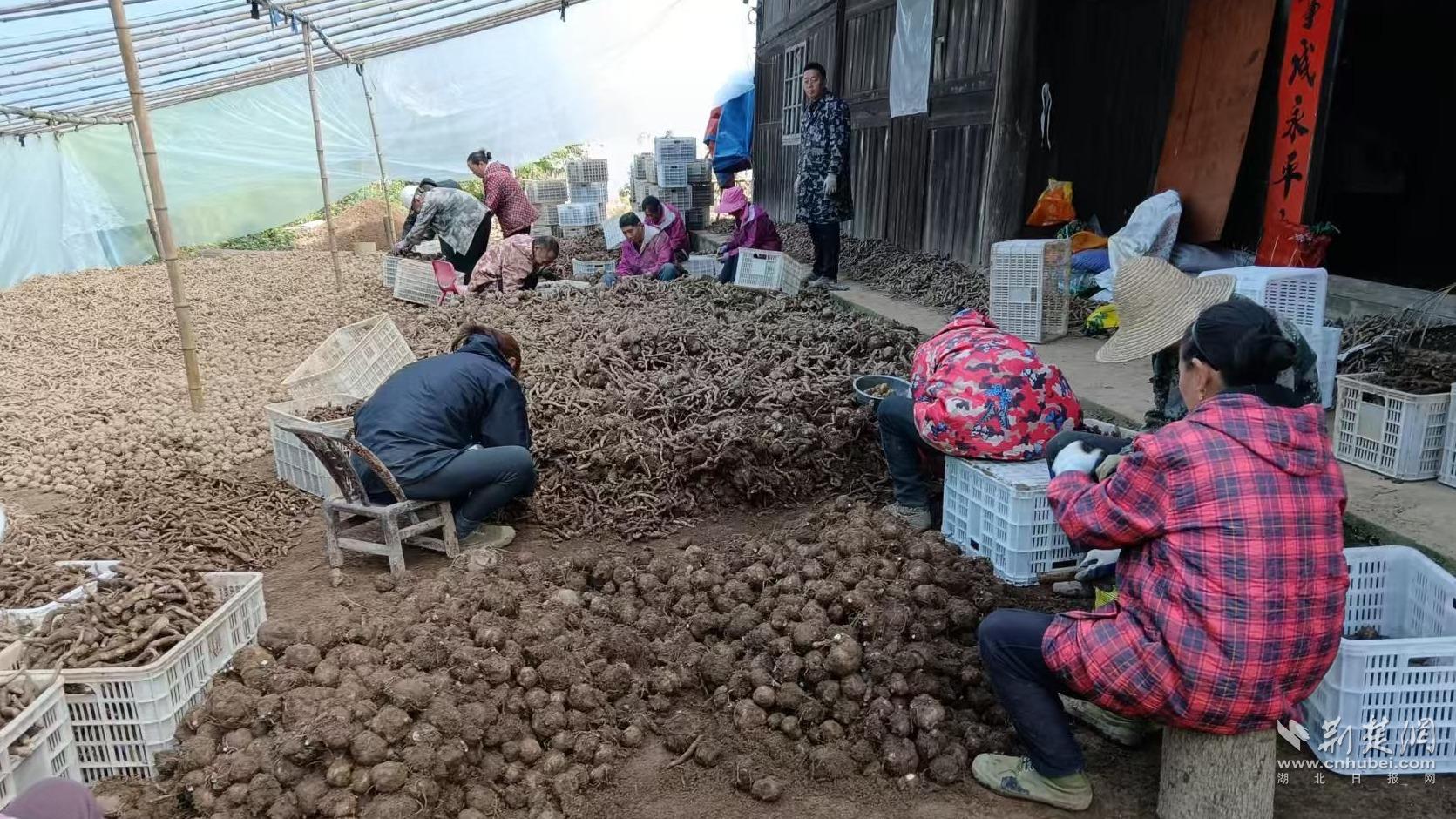 b69a12af9ee5b861e512bbdf4ecae227_1671X940_20251105212600