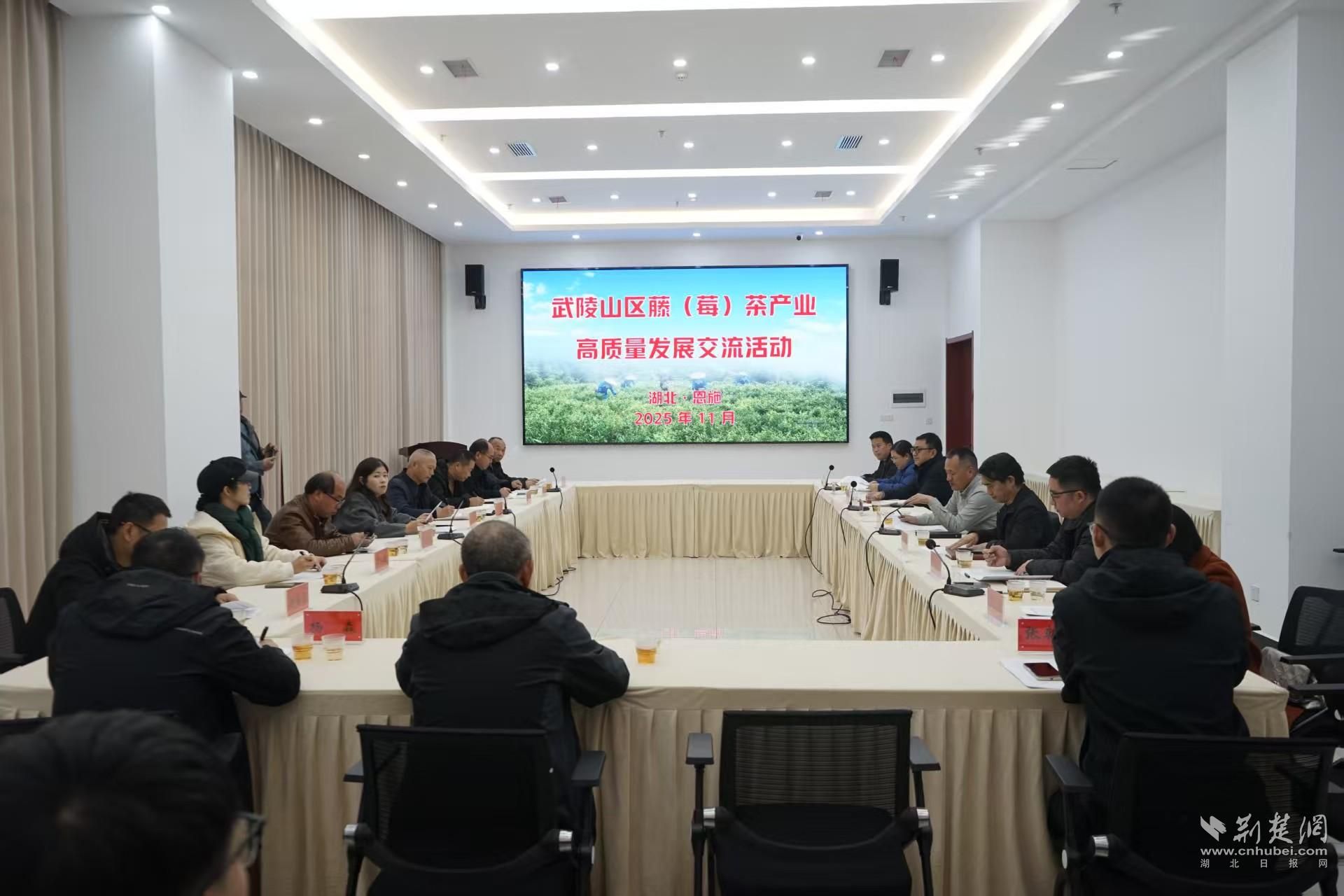 武陵山藤（莓）茶产业高质量发展交流活动在恩施市举行。