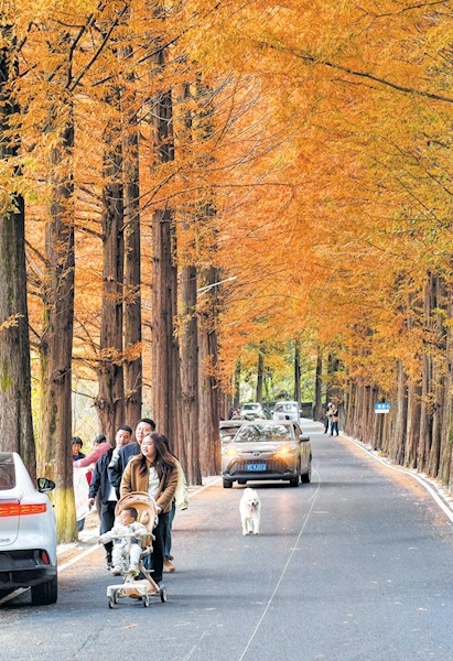 沿途风景美丽，每一步都美丽