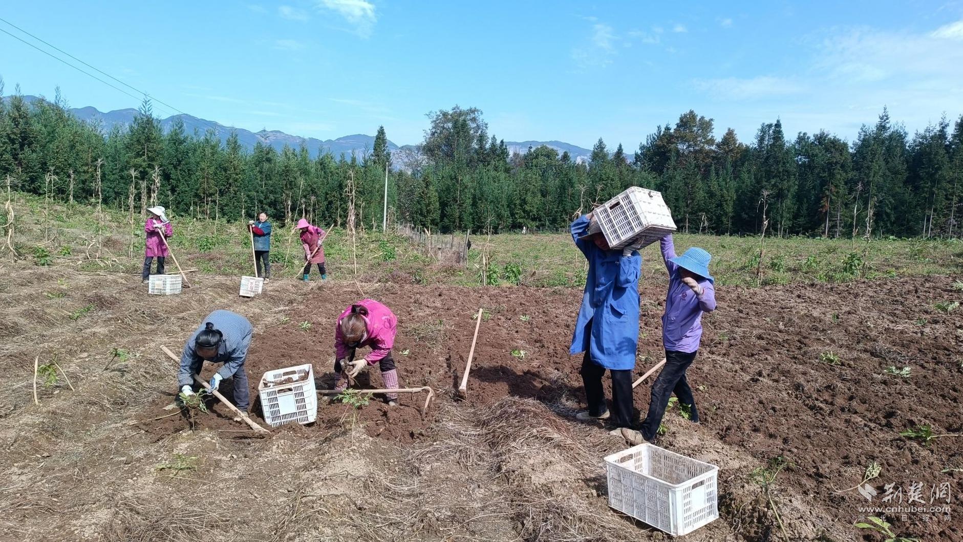 61d5371d9d3a2687adee308bb1e8a740_1881X1058_20251105212507