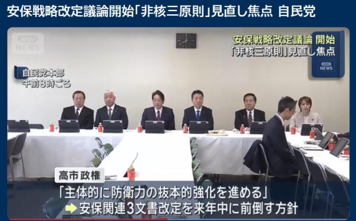 日本开始就安全战略审查