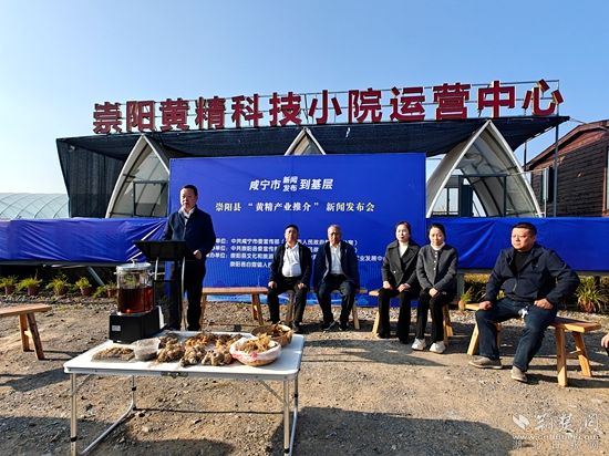 崇阳 黄精.jpg.jpg