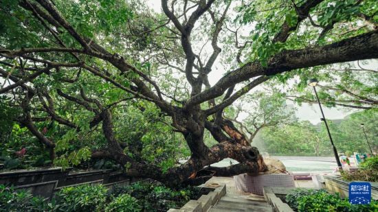 ��۹���ح�ػ����䡪����۰��������������Ĺ���