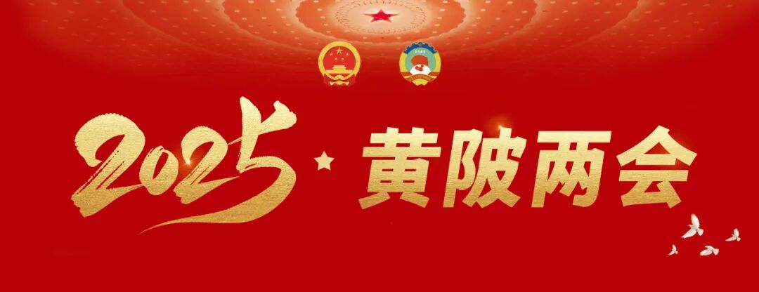 2025·黄陂二会｜代表委员