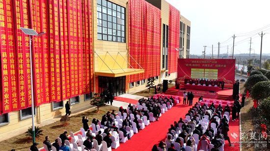 通城县 医药2.jpg.jpg