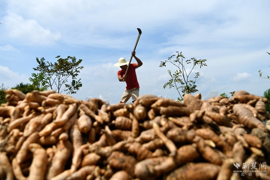 通城县 医药3.jpg