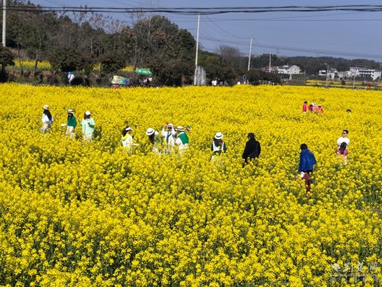 花样经济 咸安2.jpg.jpg
