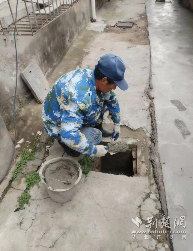 图片431.png.png