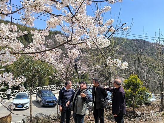 花样经济 咸安1.jpg.jpg