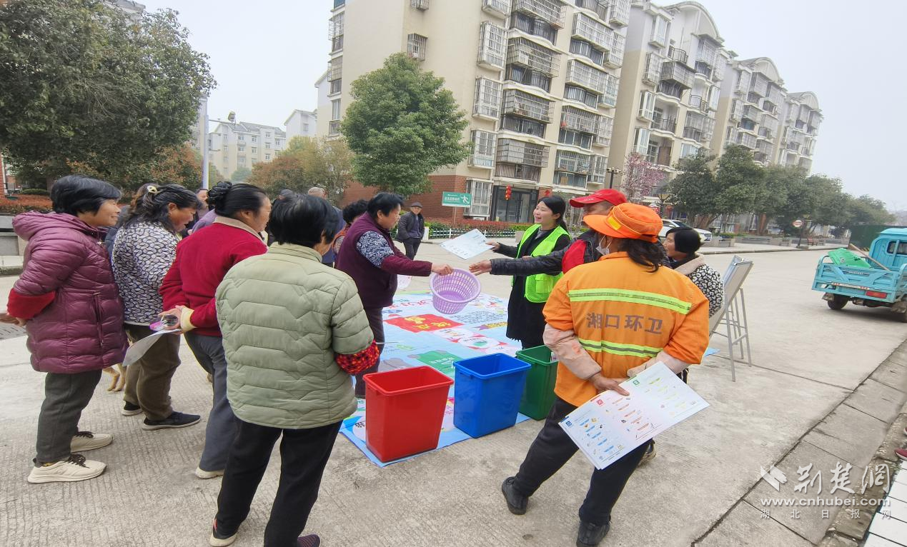 图片446.png.png