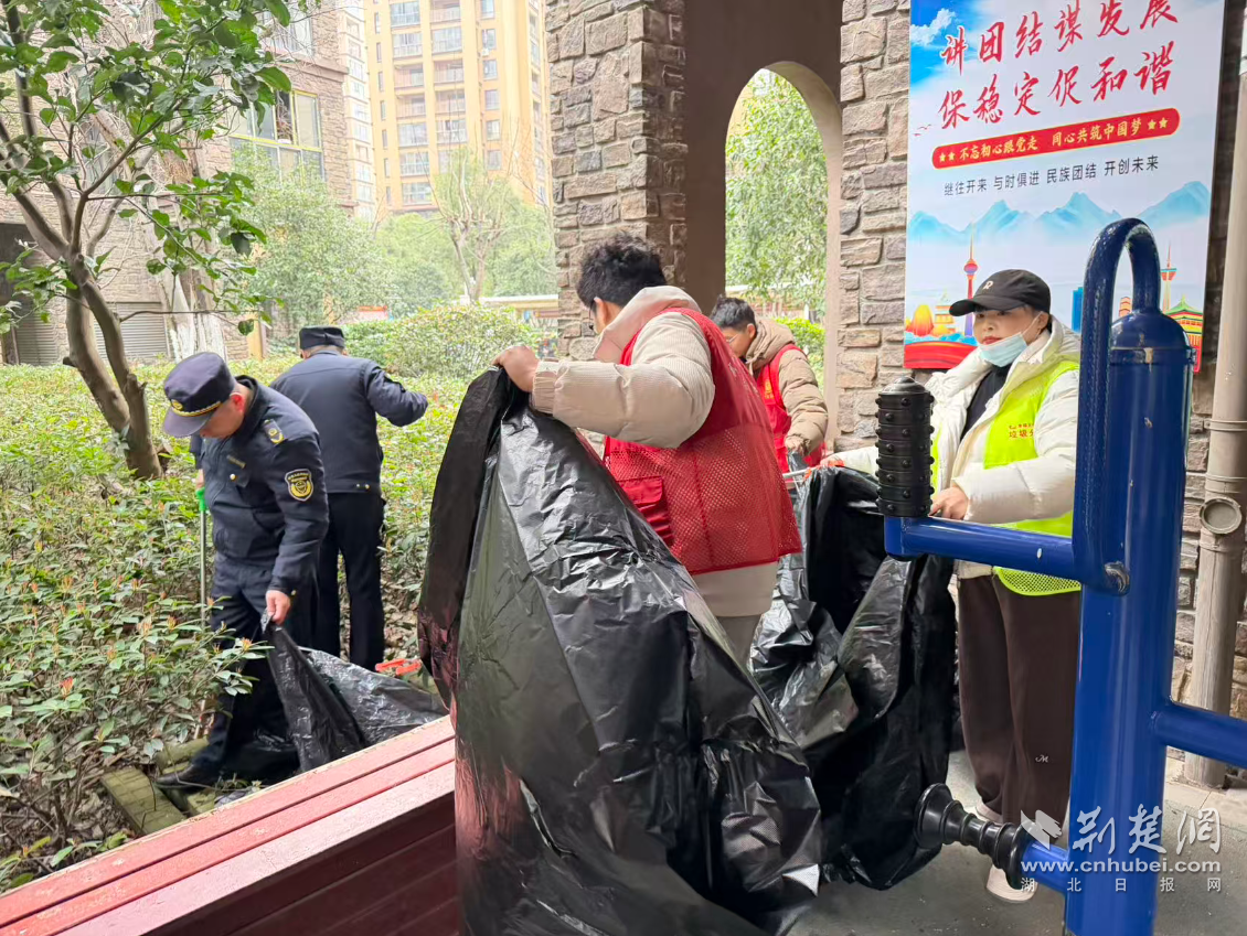 图片423.png.png