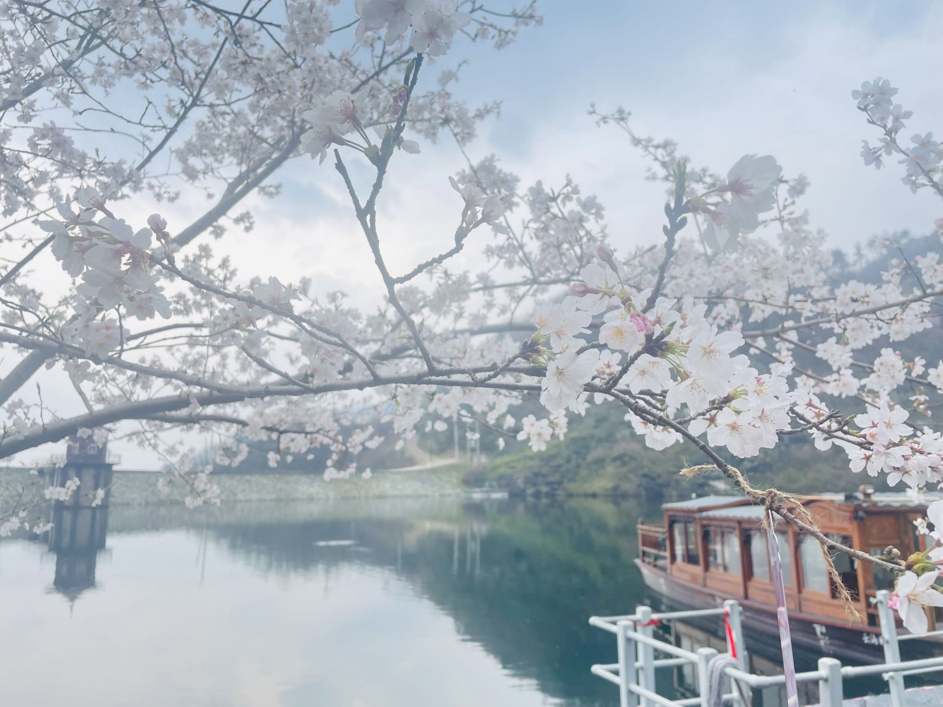 图片487.png.png