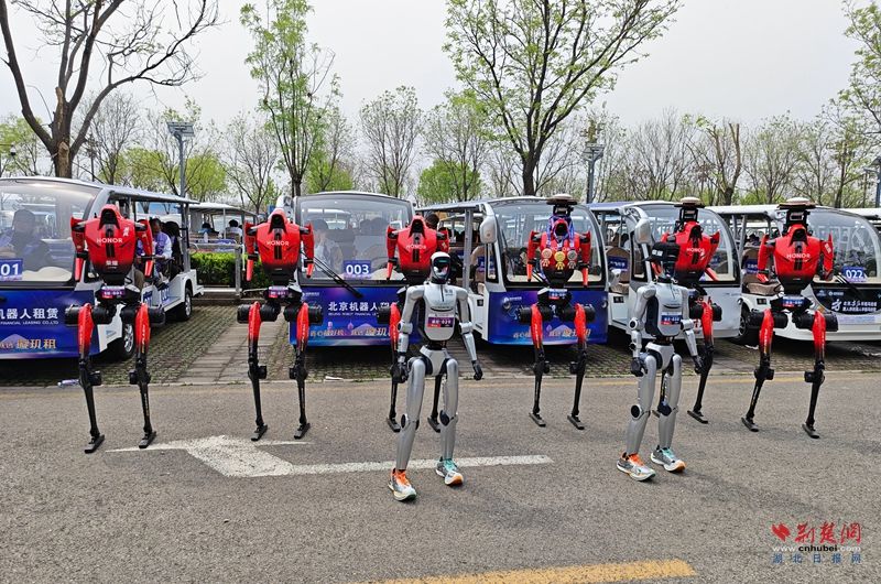 微信图片_20260426110052_353_99_副本.jpg.jpg