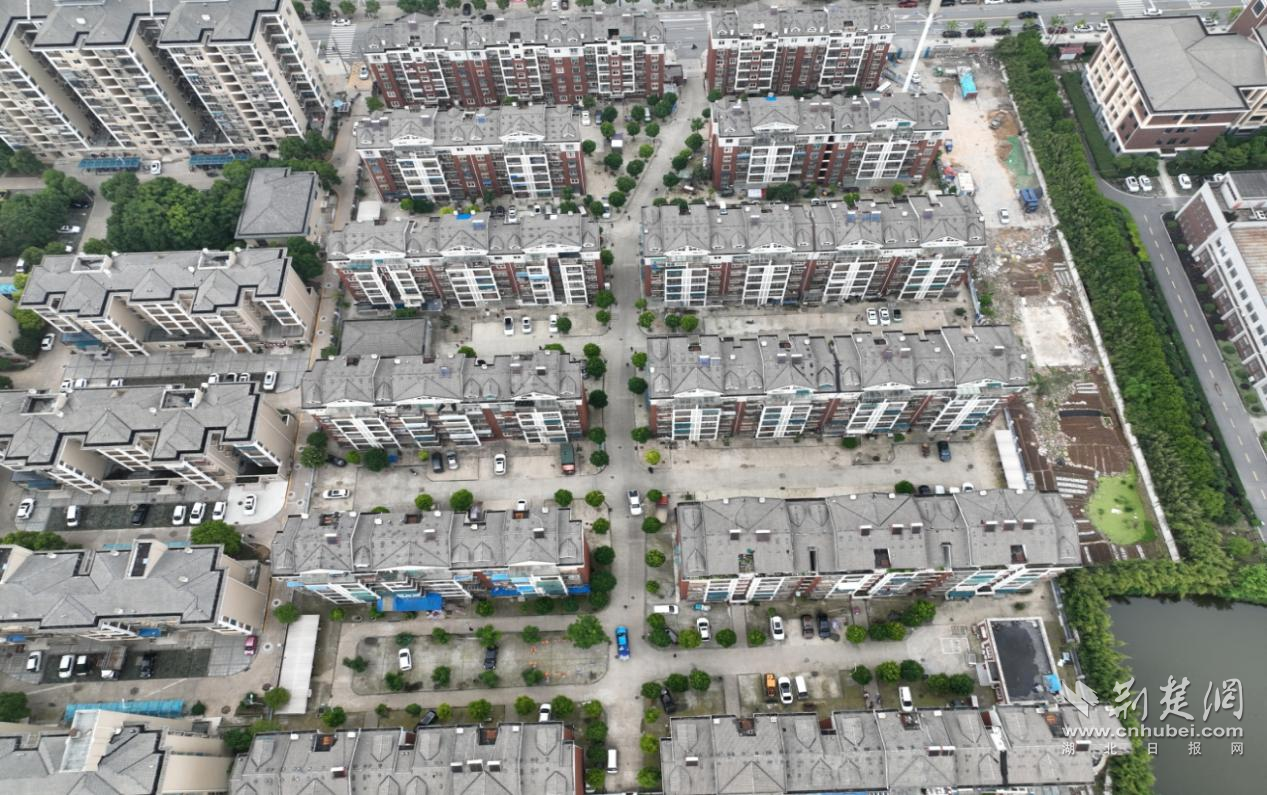 图片56.png.png