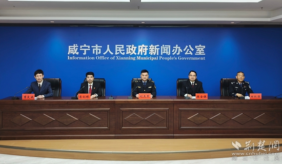 知识产权.jpg