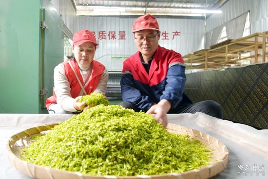 微信图片_20260402085539_1090_1112.jpg.jpg