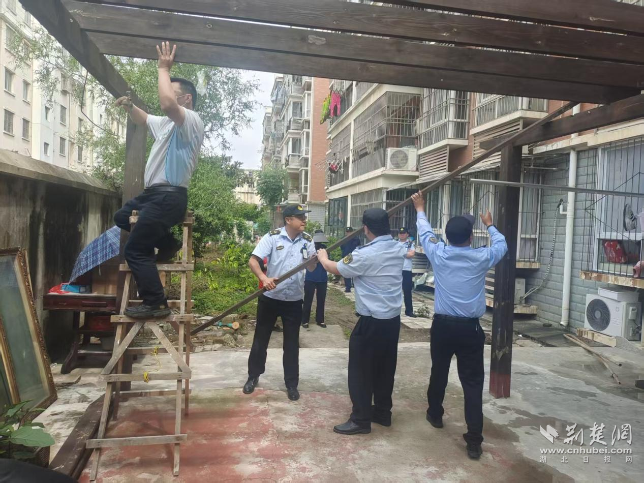 图片13.png.png