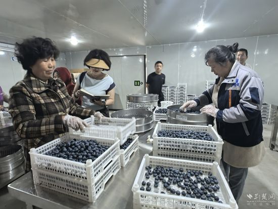 微信图片_20260525102242_185_870.jpg.jpg