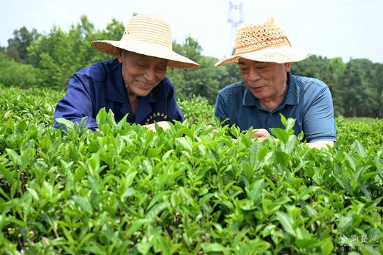 微信图片_20260630103747_284_2407.jpg.jpg