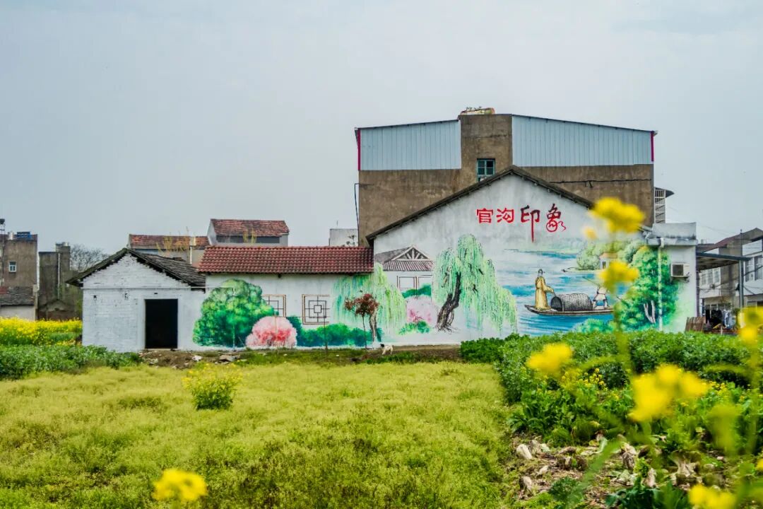 拖市镇官沟村开展美丽乡村建设.jpg