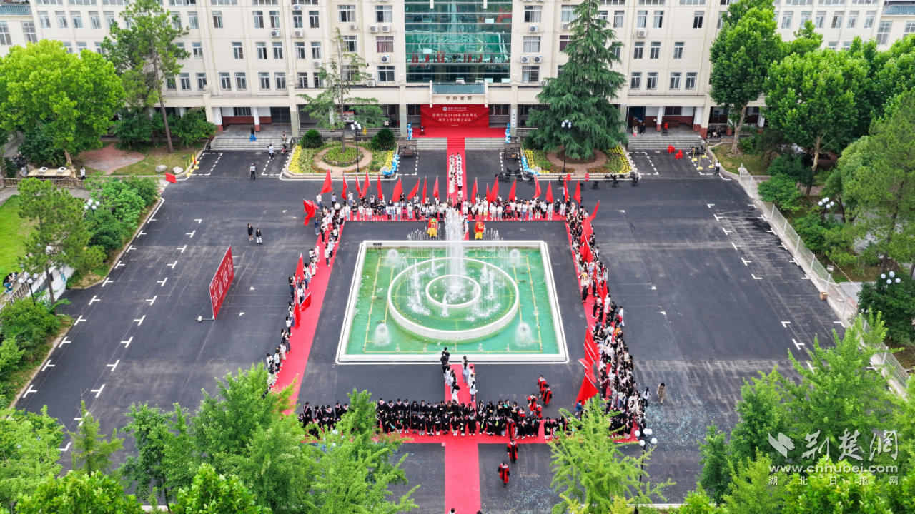 图片1.png.png