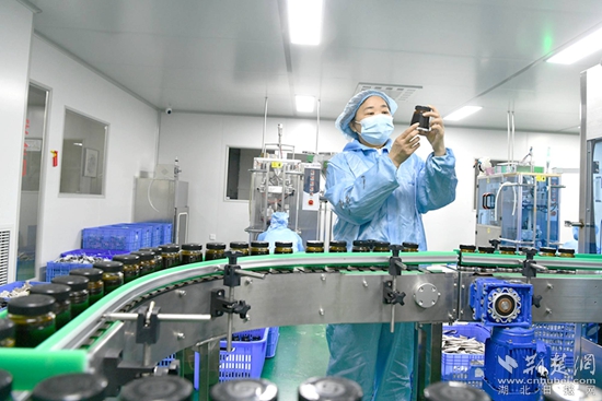 通城九楚1.jpg