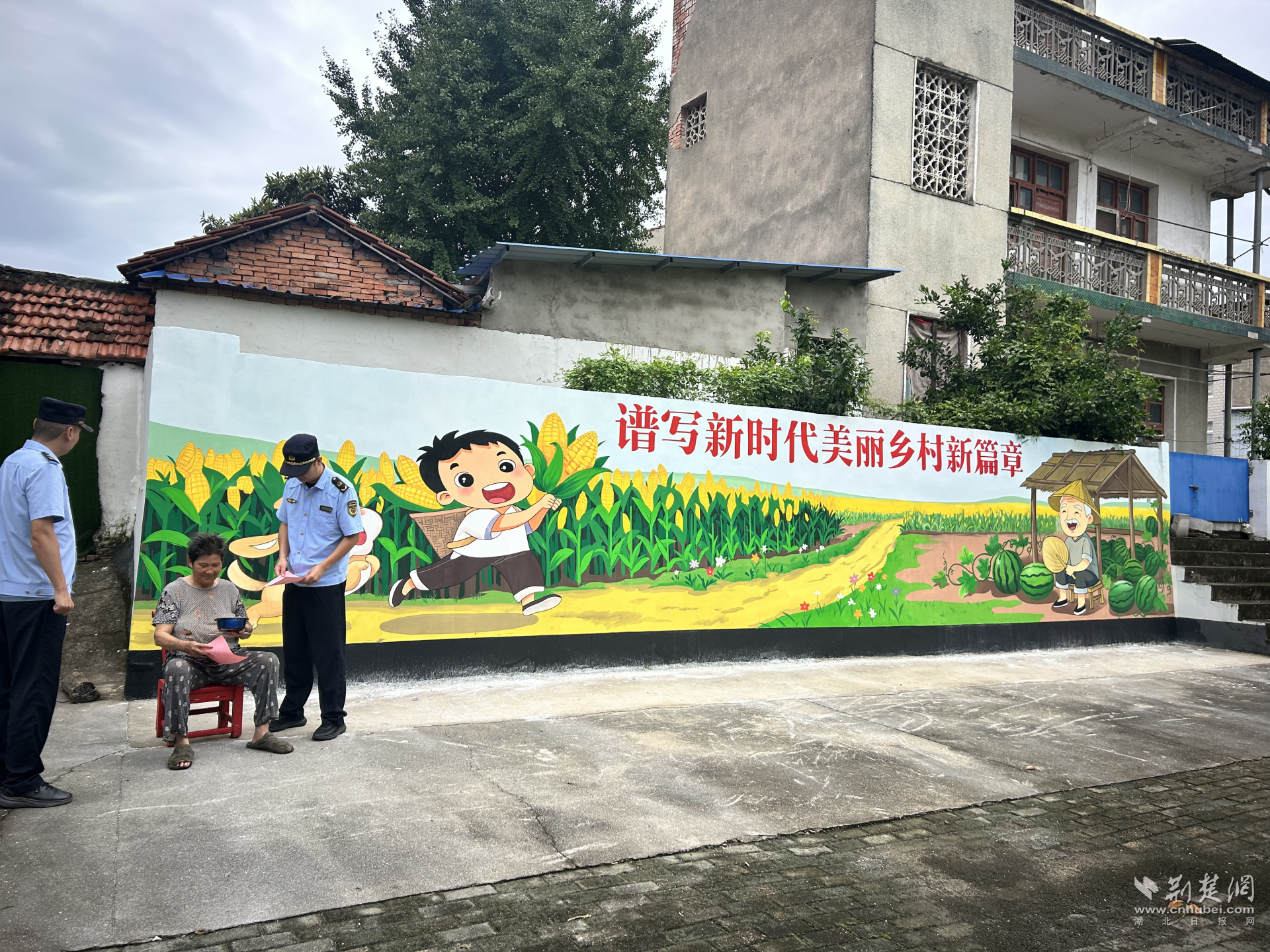 图片43.png.png