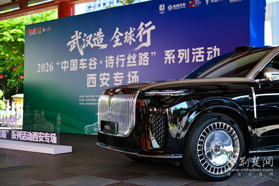 图片5.png.png