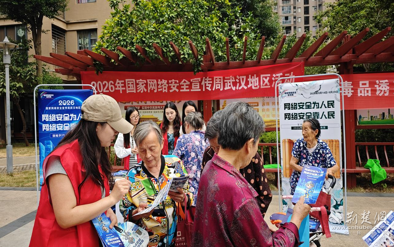 图片31.png.png