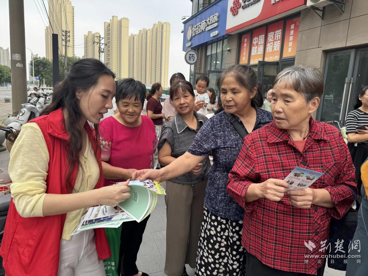图片25.png.png