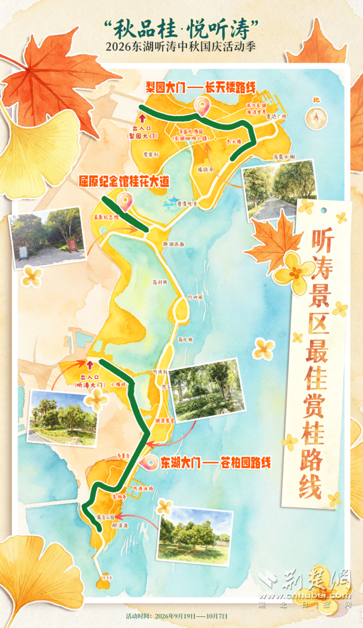 图片2.png.png